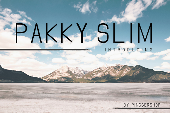 Download Pakky Slim - Premium Bundle